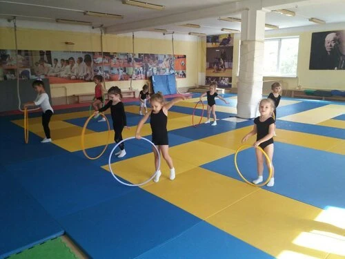 Детско-юношеский спортивный клуб Рекорд