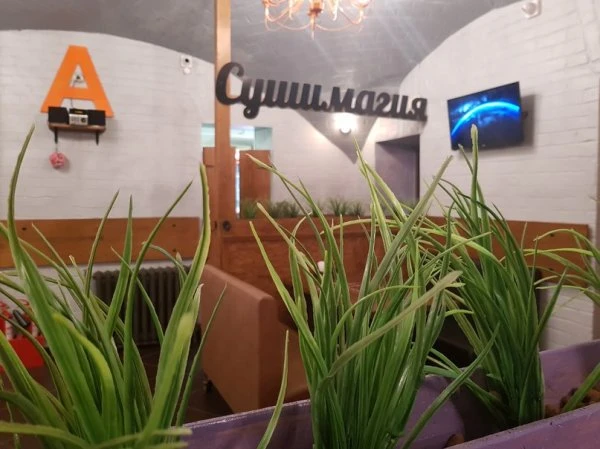 СушиМагия