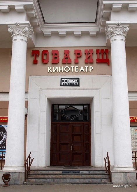 Товарищ