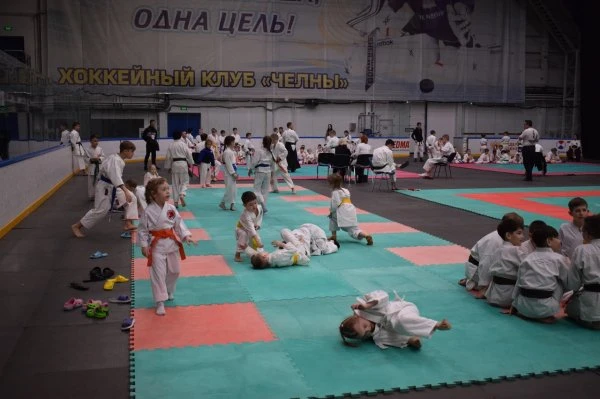 Клуб каратэ Заншин