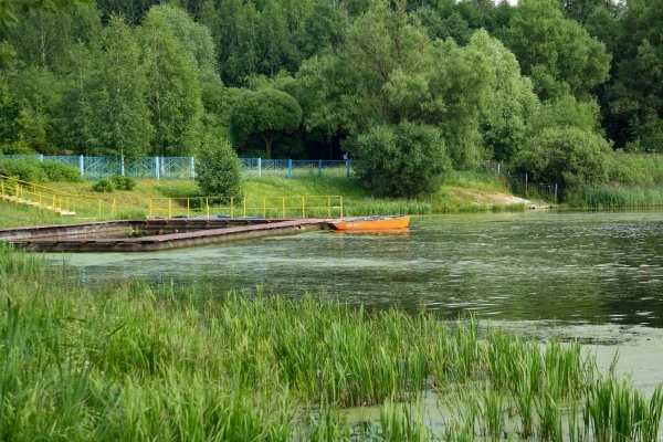 Парк Степанова