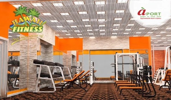 Hawaii Fitness