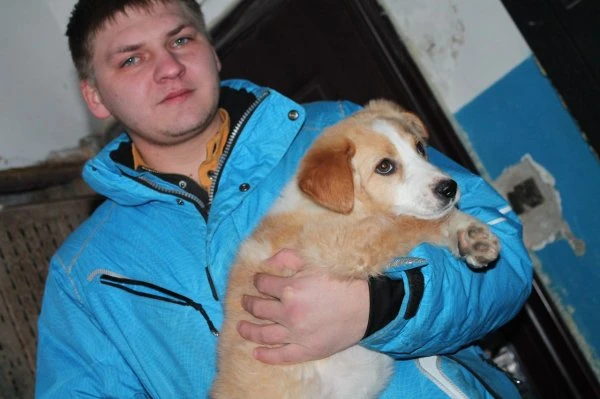 Подари надежду