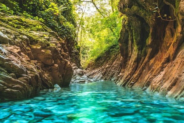 travel_sochifornia 