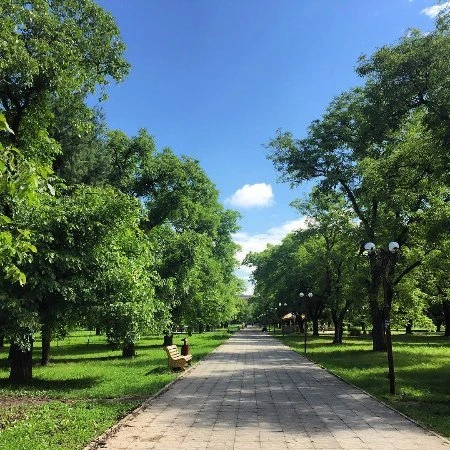 Сквер Ореховая Роща