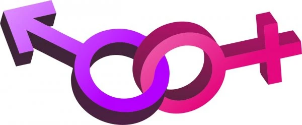 Секс-шоп
