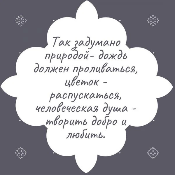 Цветы Нальчик