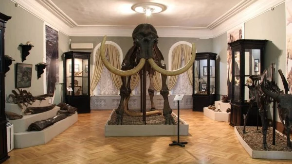 Губернский