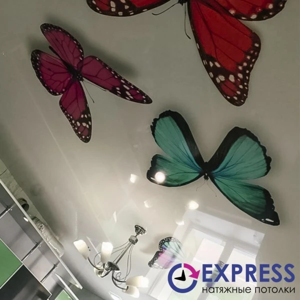  Натяжные потолки Express
