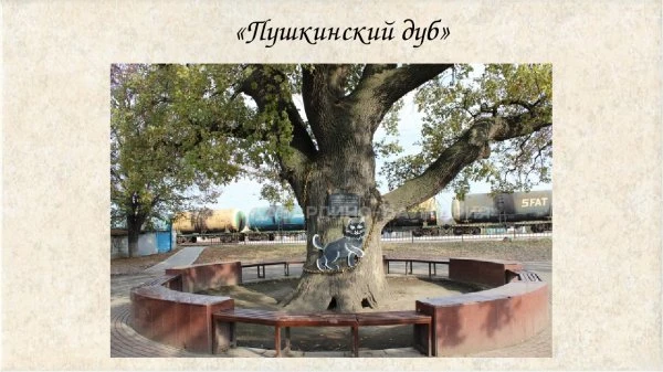 ДУБ А.С.ПУШКИНА