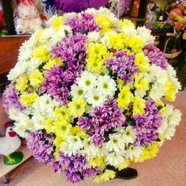 Exotic & Flowers