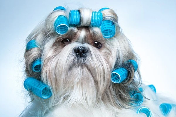 GroomeR