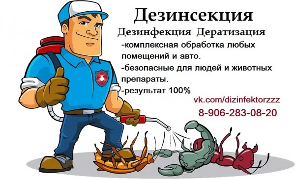 Дезинфекция насекомых