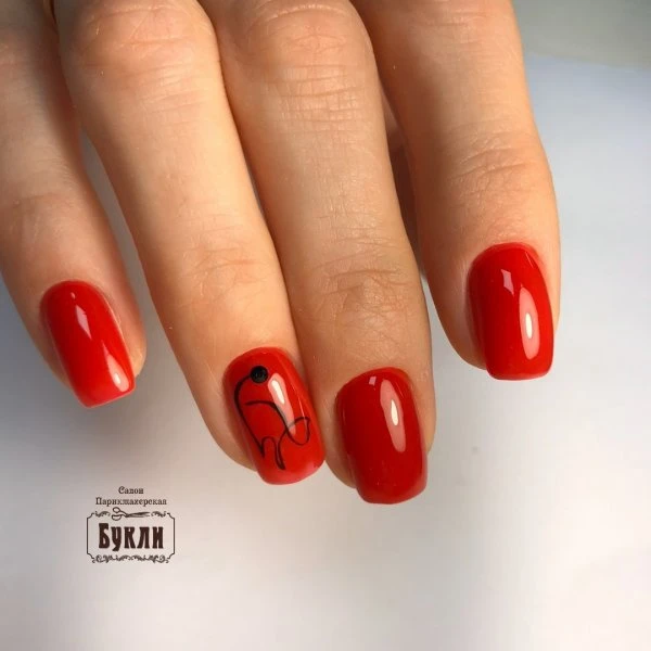 Букли