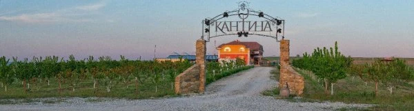 Кантина/Cantina