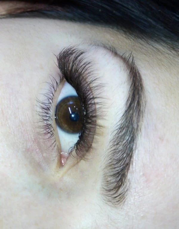 Marina Lashes and Brows