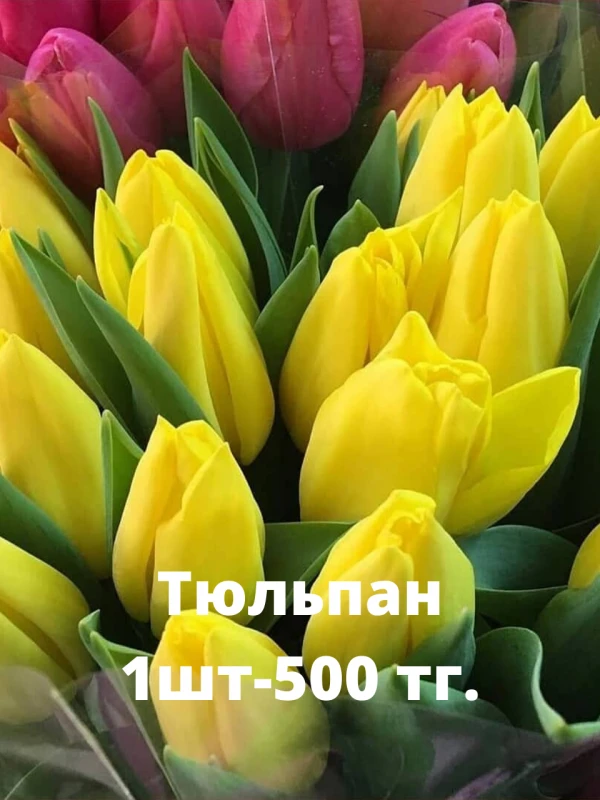 Цветы Каскелен