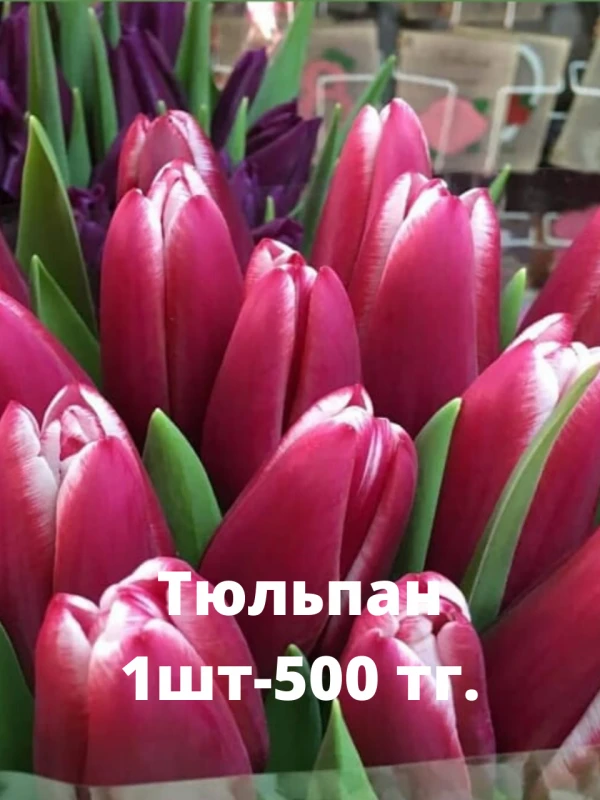 Цветы Каскелен