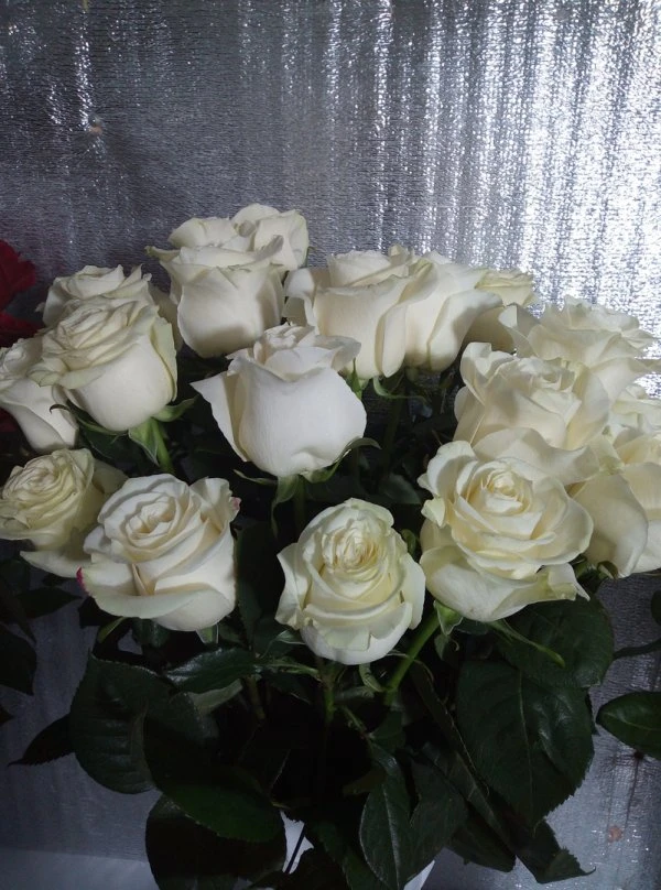 Фото 4