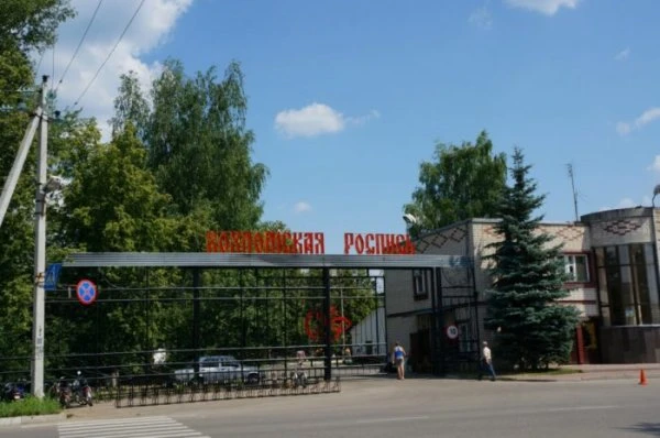 Фабрика «Хохломская роспись» в Семенове 
