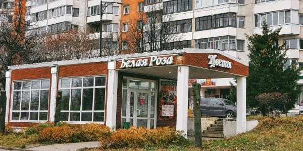 Белая роза, магазин цветов