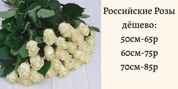Белая роза, магазин цветов