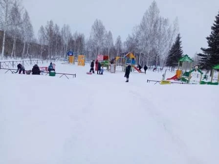 Парк «Кировский» Спортивная Арена «Снежинка»
