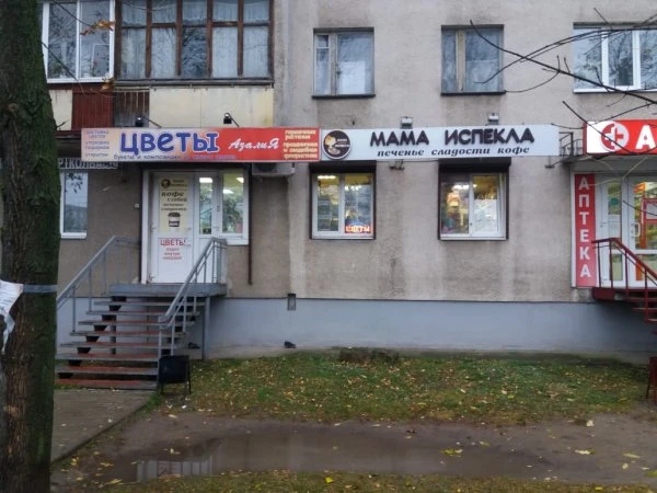 Азалия, салон цветов