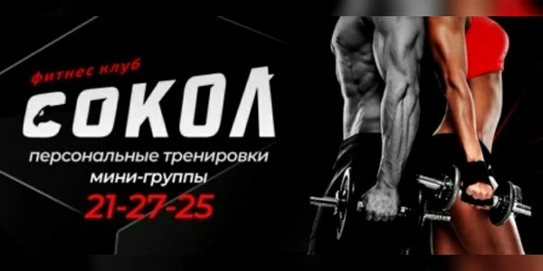 Сокол