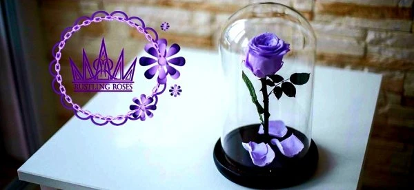 Rustling roses