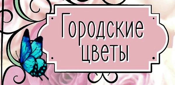 Городские цветы