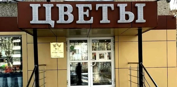 Виола