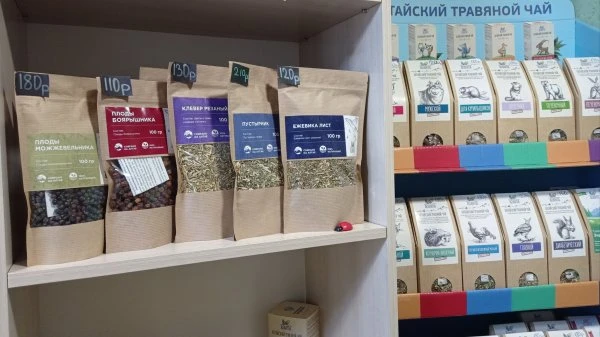 Каштан