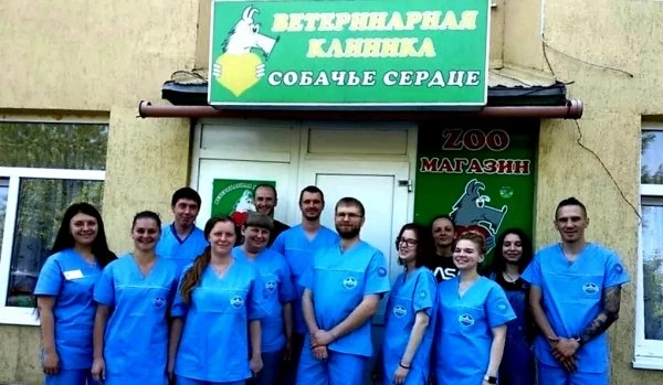 Собачье сердце