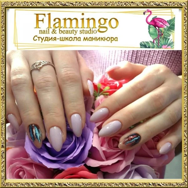 Flamingo