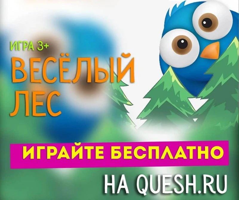 QUEST SHOW