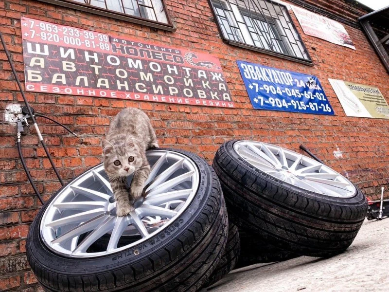 Колесо-С