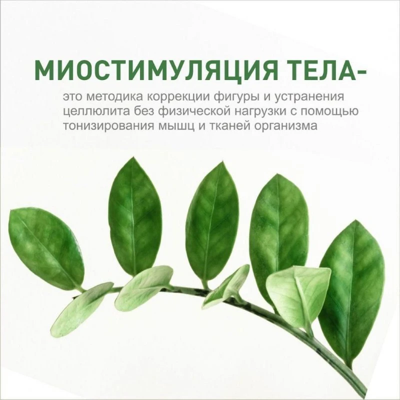 krasivoe_telo174