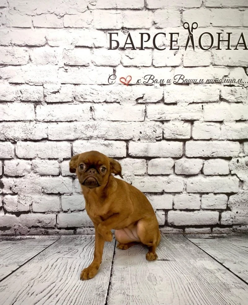 БАРСЕЛОНА