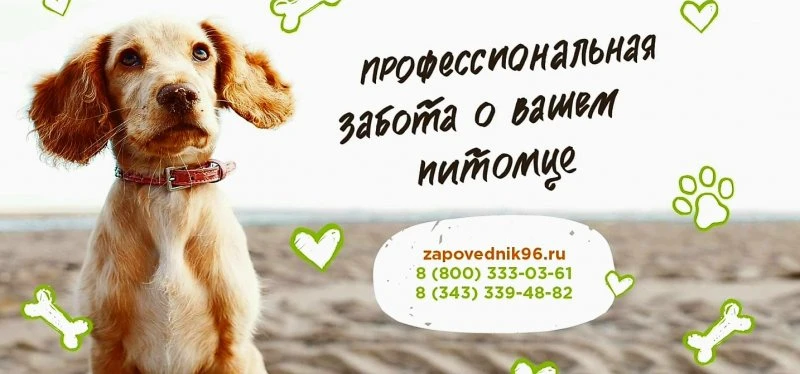 Заповедник