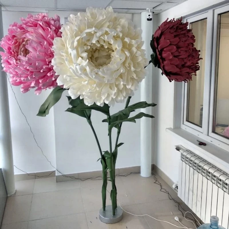 Фото 4