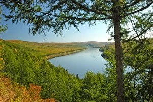 Администрация Эвенкийского муниципального района в Красноярском крае