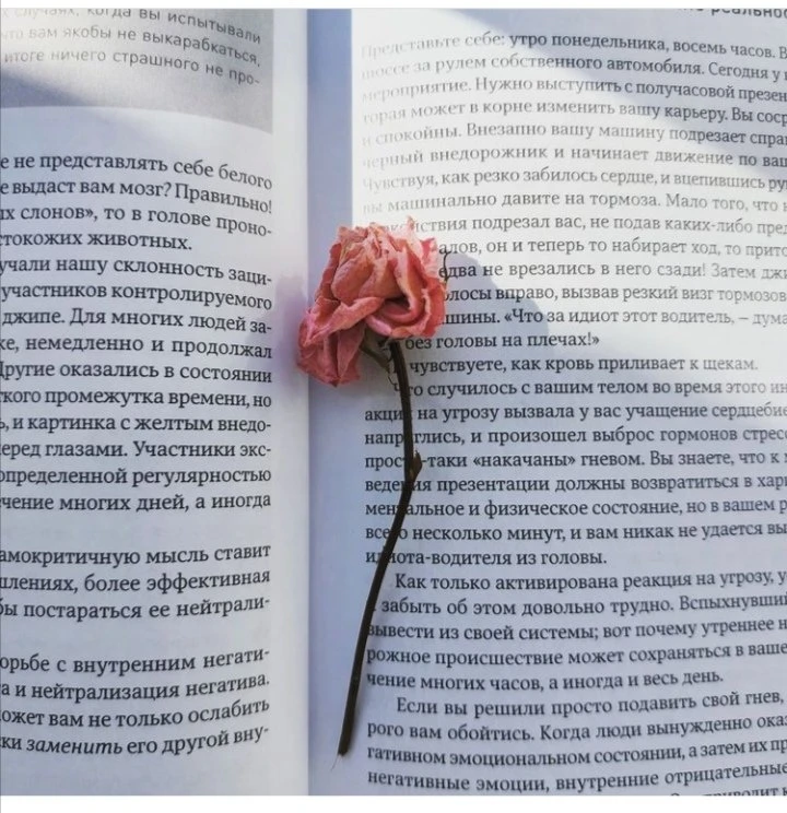 Марина Лучинская