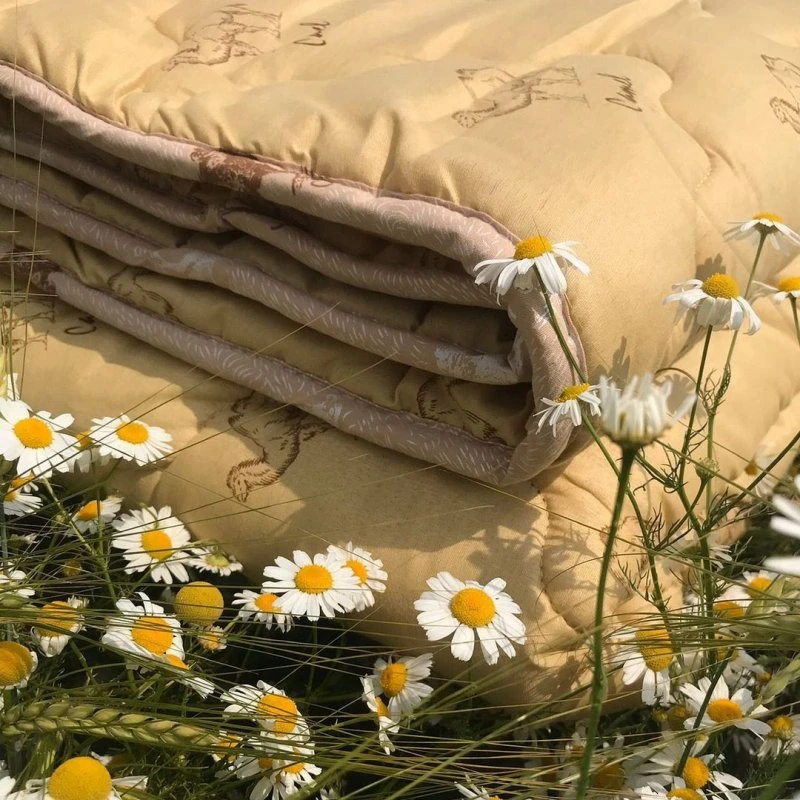 Sleep Beautifully