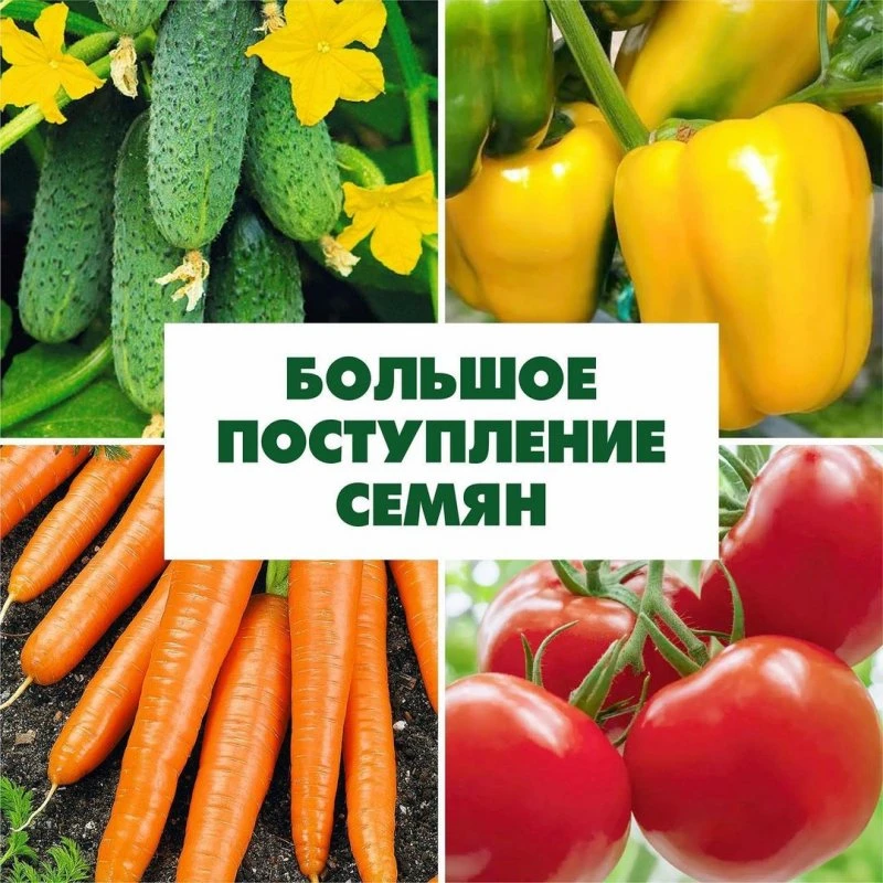 Зеленый остров