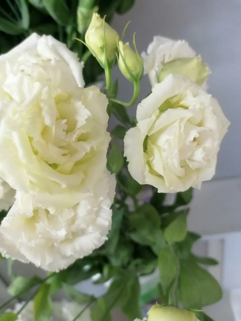 Фото 4