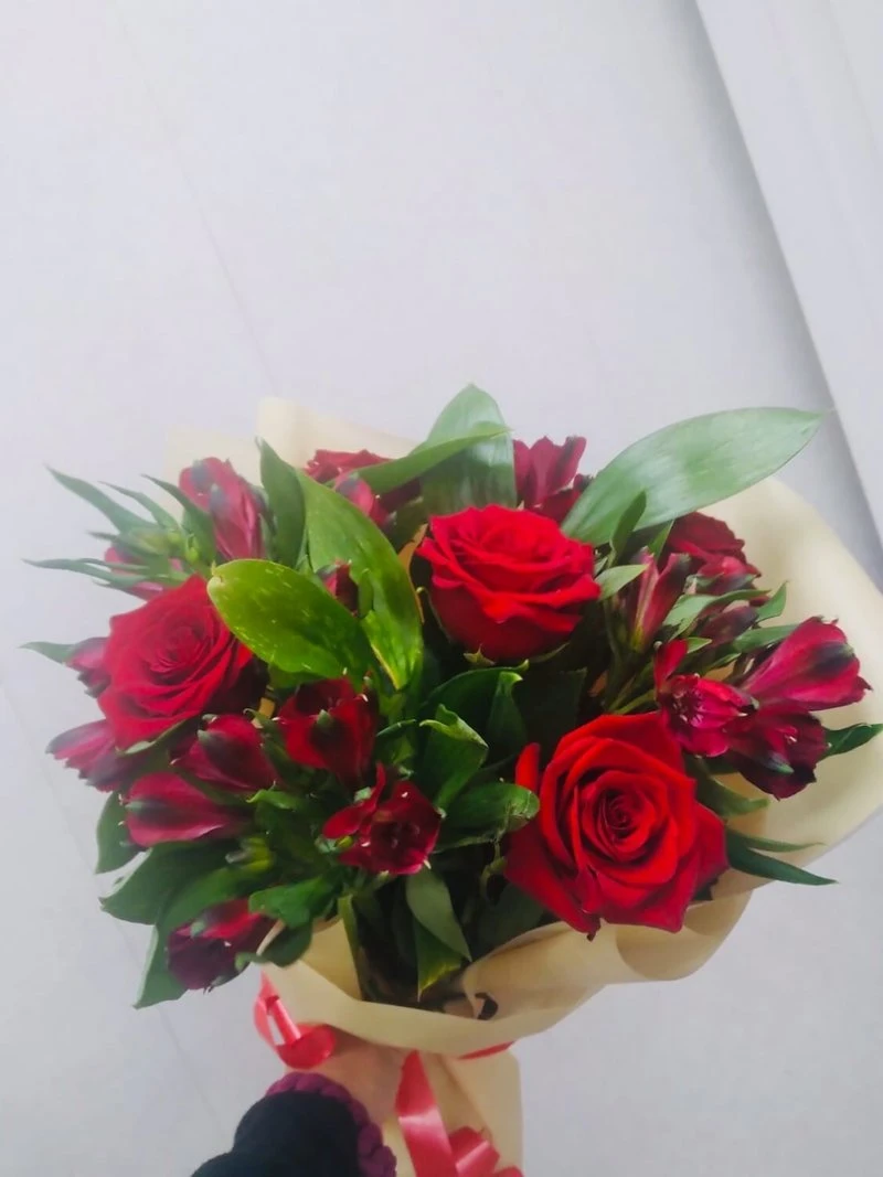 Анна Цветкова
