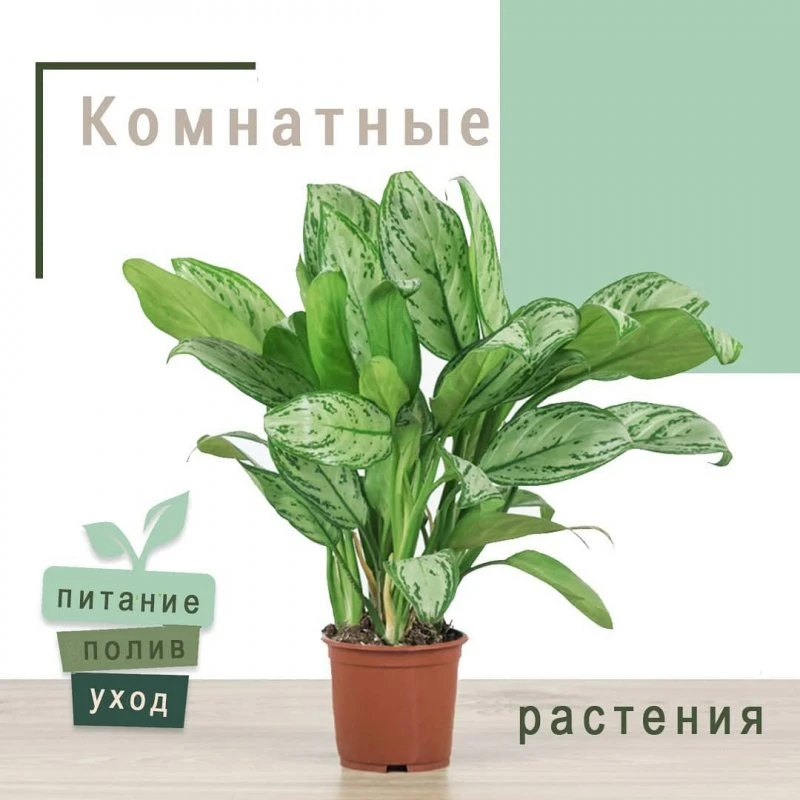 Усадьба