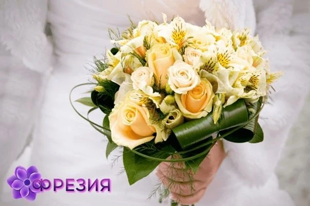 Фрезия
