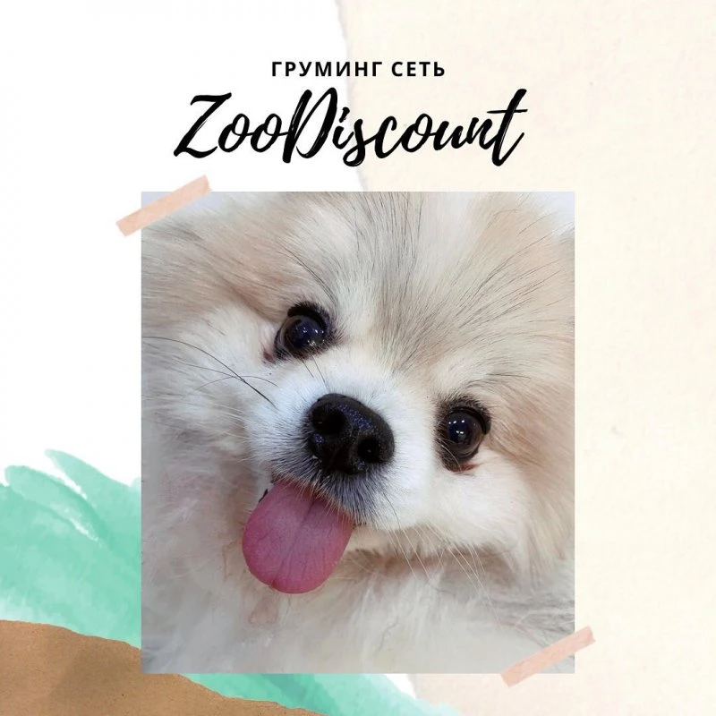 ZooDiscount